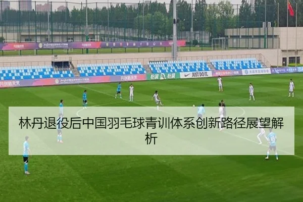 林丹退役后中国羽毛球青训体系创新路径展望解析